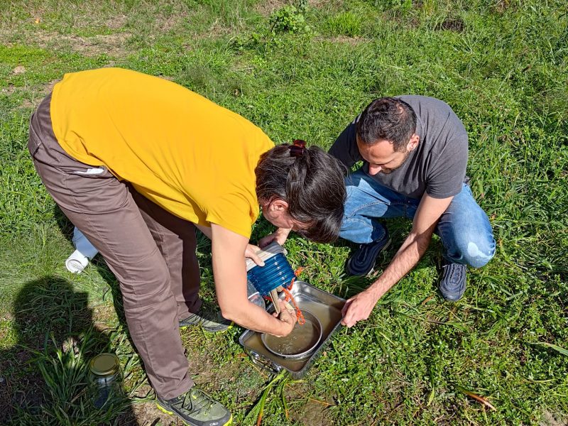 474367866_122218124576172790_6718586544860120654_n