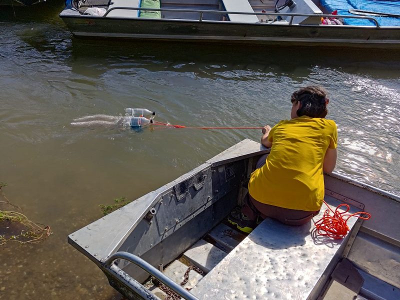 474460800_122218124564172790_1752734357698187166_n