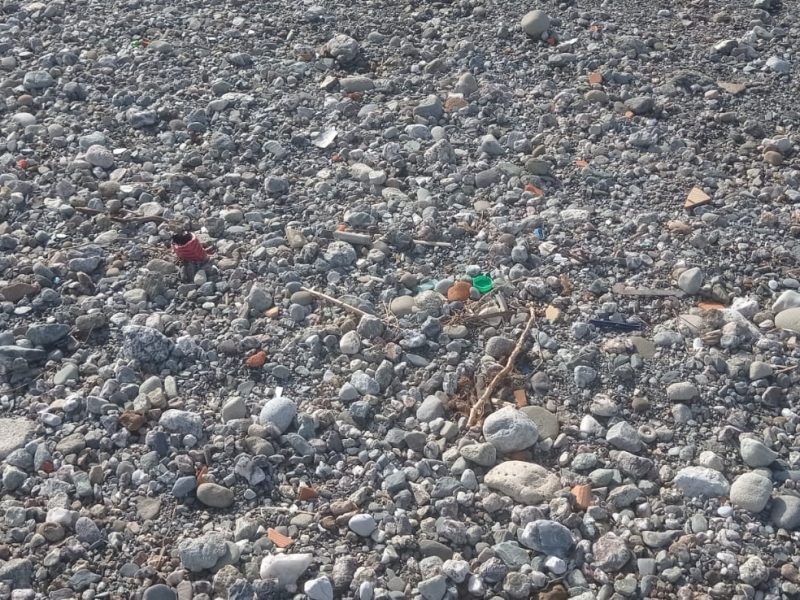 474668594_122219377142172790_9039828649546515160_n