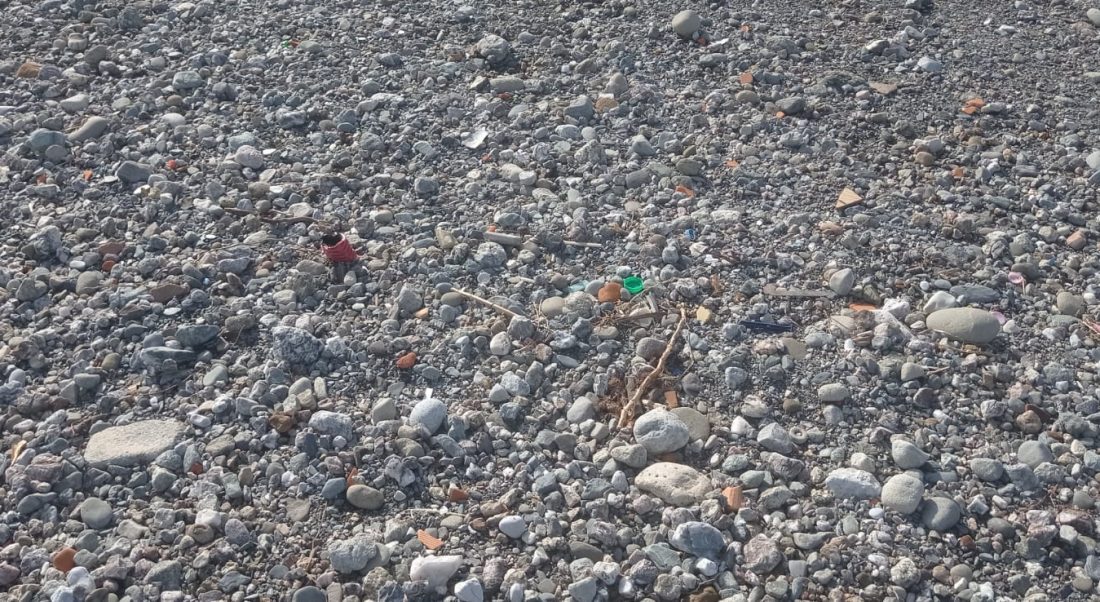 474668594_122219377142172790_9039828649546515160_n