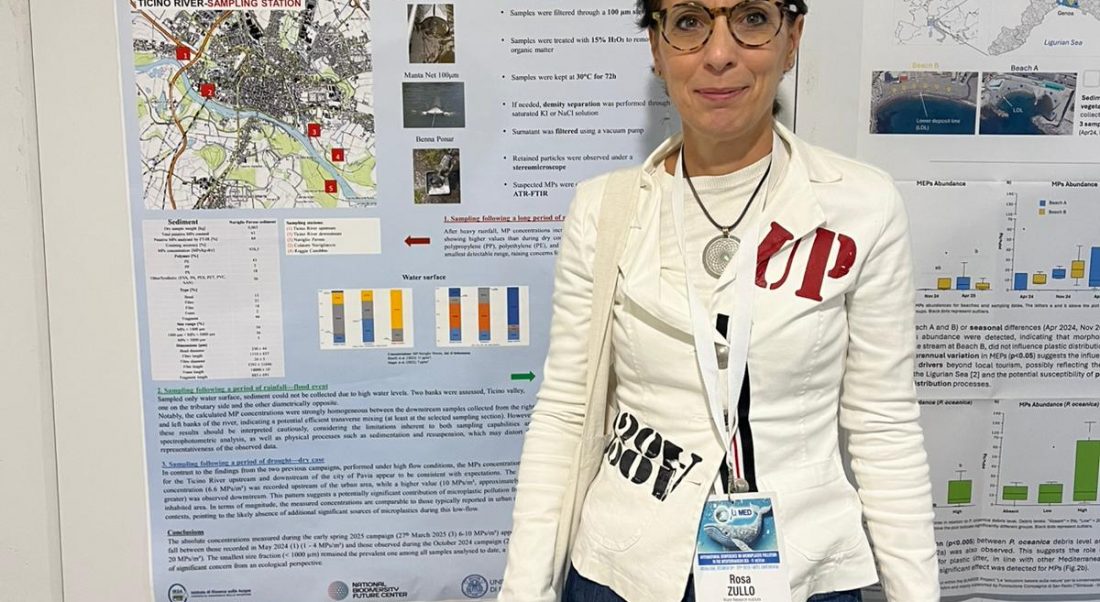 WhatsApp Image 2025-10-22 at 19.56.11